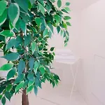 Bright Flat In Oltrarno דירה פירנצה