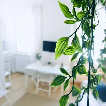 Bright Flat In Oltrarno *