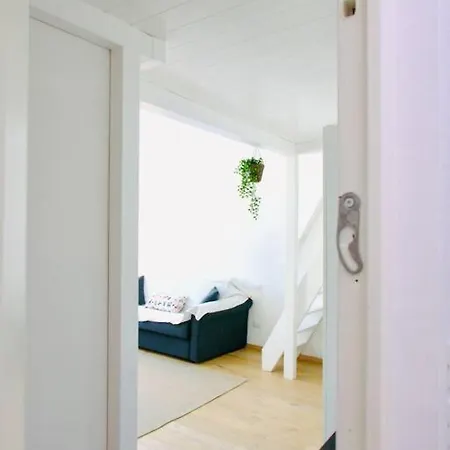 Bright Flat In Oltrarno Apartment *
