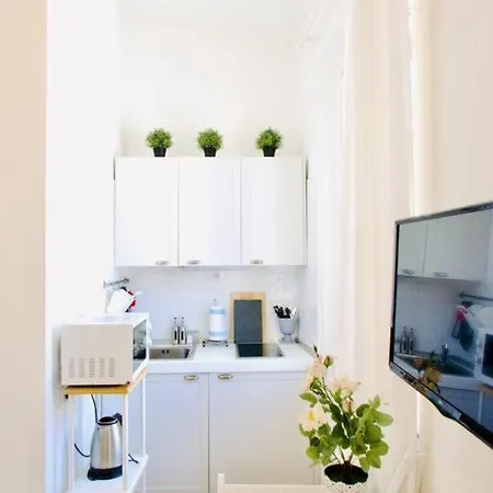 Bright Flat In Oltrarno 아파트 *