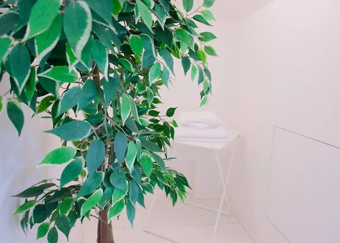 Bright Flat In Oltrarno Apartament Florencja
