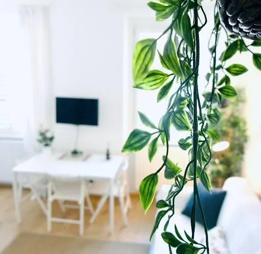 Bright Flat In Oltrarno Apartament