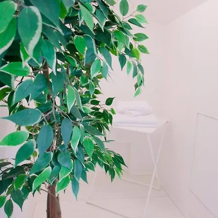 Bright Flat In Oltrarno Appartamento Firenze