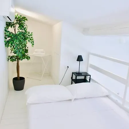 Bright Flat In Oltrarno *