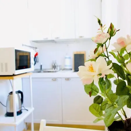 Bright Flat In Oltrarno * 피렌체